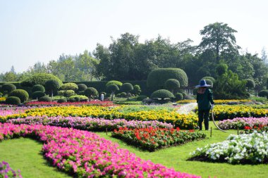 Bahçıvan uzun 9 Park'ta parkta Çiçekleri suluyordum. Bangkok Thailand.The güzel çiçek bahçesinde Bangkok en büyük şehir parkı