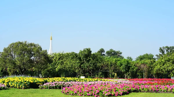 Садовник Поливает Цветы Парке Лонг Bangkok Thailand Beautiful Flower Garden — стоковое фото