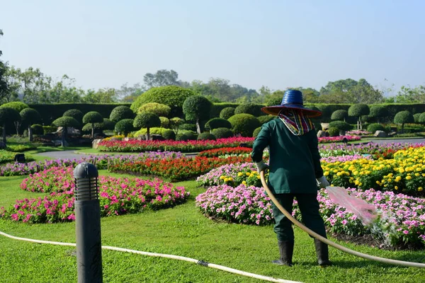 The gardener is watering the flowers at the park at Long 9 Park. Bangkok ThailandThe beautiful flower garden in Bangkok\'s big city park