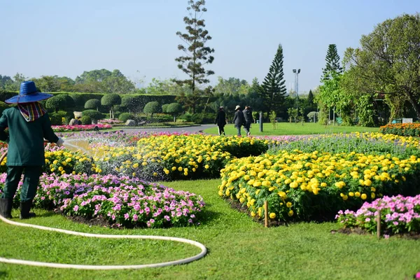 Trädgårdsmästaren Vattna Blommorna Park Lång Park Bangkok Thailand Vacker Blomsterträdgård — Stockfoto