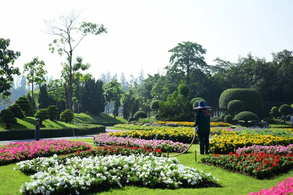 Kertész Öntözi Virágokat Parkban Hosszú Park Bangkok Thailand Gyönyörű Virágoskert — Stock Fotó