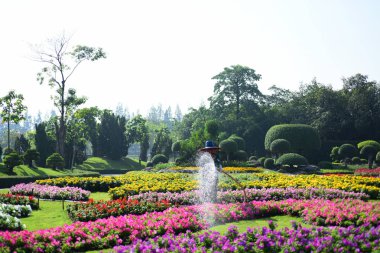 Bahçıvan uzun 9 Park'ta parkta Çiçekleri suluyordum. Bangkok Thailandthe güzel çiçek bahçesinde Bangkok en büyük şehir parkı
