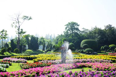 Bahçıvan uzun 9 Park'ta parkta Çiçekleri suluyordum. Bangkok Thailandthe güzel çiçek bahçesinde Bangkok en büyük şehir parkı