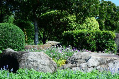 Bahçıvan uzun 9 Park'ta parkta Çiçekleri suluyordum. Bangkok Thailand'The güzel çiçek bahçesinde Bangkok en büyük şehir parkı
