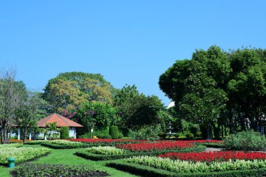 Bereketli yeşillikli güneşli parkın manzarası