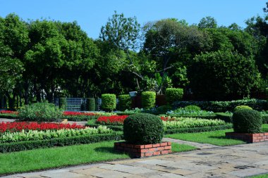 Bahçıvan uzun 9 Park'ta parkta Çiçekleri suluyordum. Bangkok Thailand'The güzel çiçek bahçesinde Bangkok en büyük şehir parkı