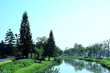 Bereketli yeşillikli güneşli parkın manzarası