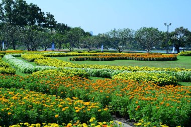 Bahçıvan uzun 9 Park'ta parkta Çiçekleri suluyordum. Bangkok Thailand'The güzel çiçek bahçesinde Bangkok en büyük şehir parkı