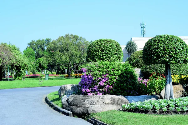 Vista Panorámica Del Soleado Parque Con Exuberante Vegetación — Foto de Stock