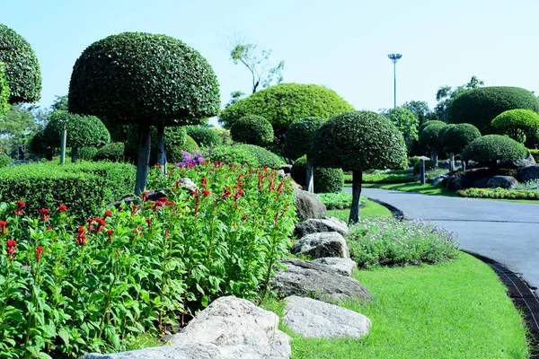 Zahradník Zalévání Květin Parku Dlouhých Parku Bangkok Thailand Krásná Květinová — Stock fotografie