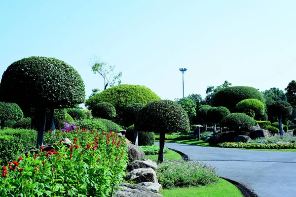 Vue Panoramique Parc Ensoleillé Avec Verdure Luxuriante — Photo