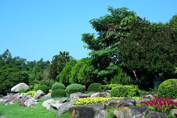 Malebný Pohled Slunný Park Svěží Zelení — Stock fotografie