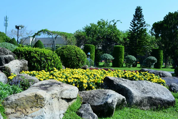 Vista Panorámica Del Soleado Parque Con Exuberante Vegetación — Foto de Stock