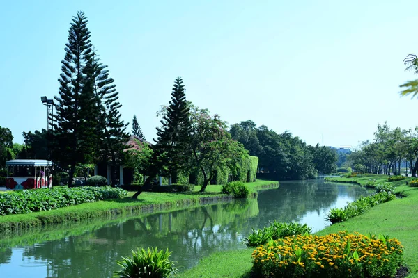 Vue Panoramique Parc Ensoleillé Avec Verdure Luxuriante — Photo