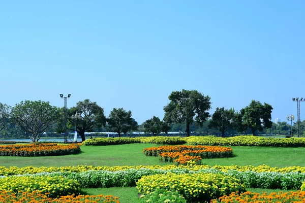 The gardener is watering the flowers at the park at Long 9 Park. Bangkok Thailand\'The beautiful flower garden in Bangkok\'s big city park