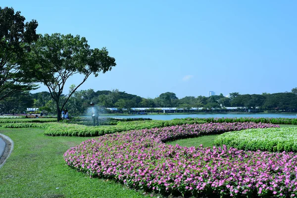 The gardener is watering the flowers at the park at Long 9 Park. Bangkok Thailand\'The beautiful flower garden in Bangkok\'s big city park