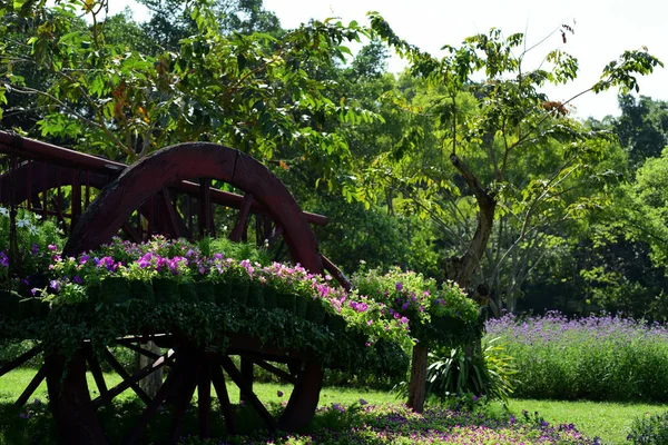 Vista Panorámica Del Soleado Parque Con Exuberante Vegetación — Foto de Stock