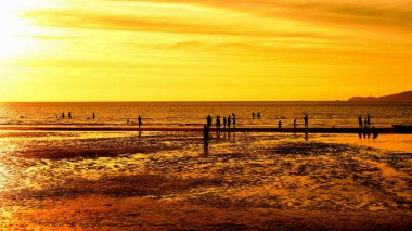 Gün batımında güzel sahil manzarasında birçok insan gün batımından önce oynamak için sahile gelirler..