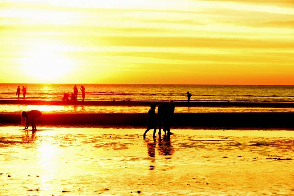 Gün batımında güzel sahil manzarasında birçok insan gün batımından önce oynamak için sahile gelirler..