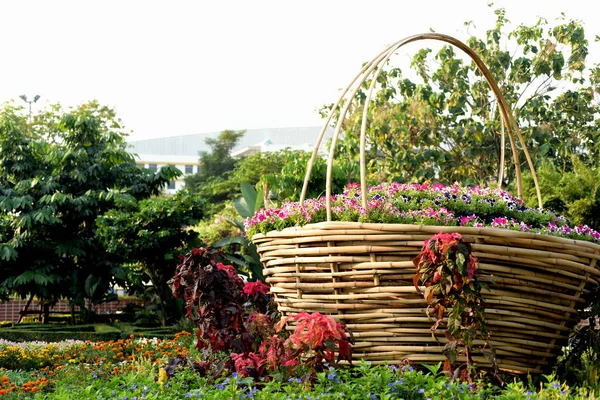 Košík Květinami Zelené Zahradě — Stock fotografie