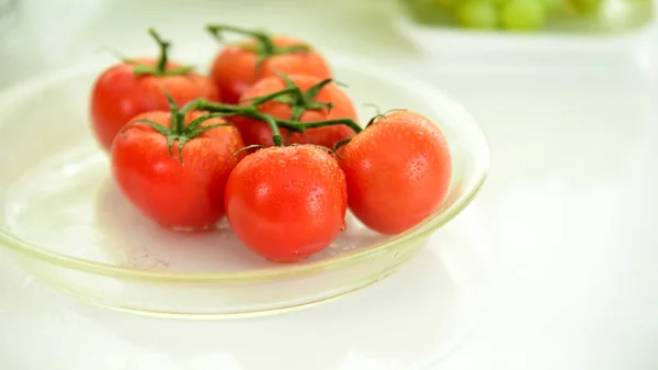 유리판에 토마토 — 스톡 사진