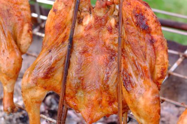 Açık havada ızgara hazırlayan tavukları kapatın.