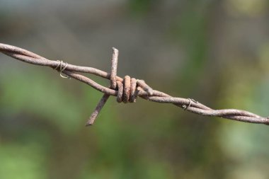 Bulanık arkaplanda dikenli telleri kapat 