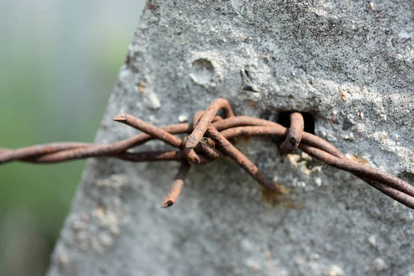 Nahaufnahme Von Stacheldraht Auf Verschwommenem Hintergrund — Stockfoto