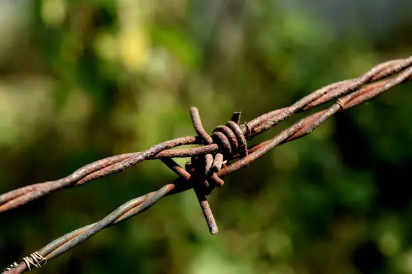 Close Barbed Wire Blurred Background — Stock Photo, Image