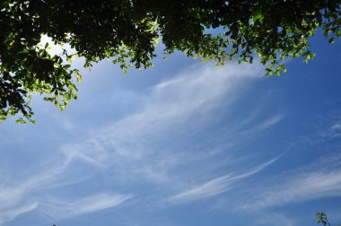 Parlak gökyüzü güzel bulutlu yeşil ağaçlar ve güzel bulutlar gökyüzü ile parlak gökyüzü görünümü