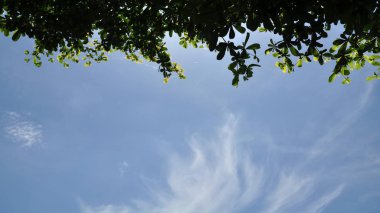 Parlak gökyüzü güzel bulutlu yeşil ağaçlar ve güzel bulutlar gökyüzü ile parlak gökyüzü görünümü