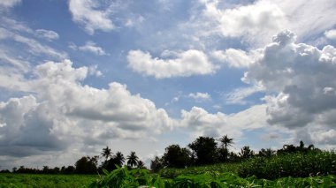 Parlak gökyüzü güzel bulutlu yeşil ağaçlar ve güzel bulutlar gökyüzü ile parlak gökyüzü görünümü