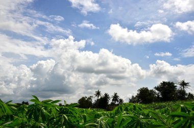 Bulutlu mavi gökyüzünde parlayan güneşin yeşillik üzerindeki görüntüsü