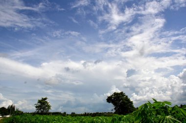 Bulutlu mavi gökyüzünde parlayan güneşin yeşillik üzerindeki görüntüsü