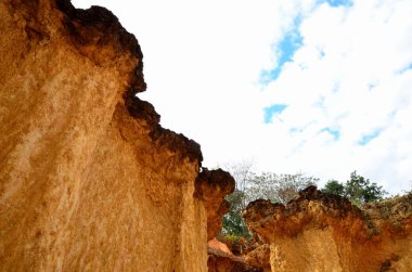 Kanyon kayalıkları yemyeşil güneş ışığıyla