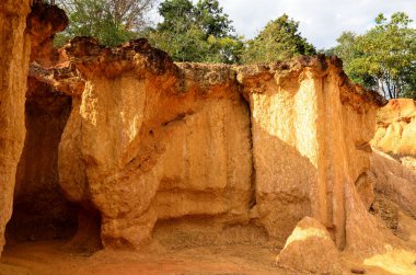 Kanyon kayalıkları yemyeşil güneş ışığıyla