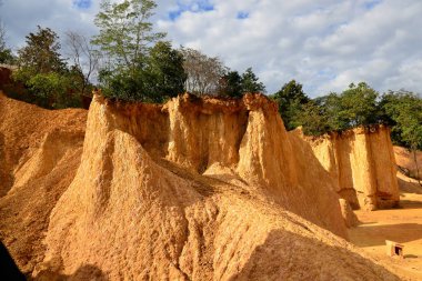 Kanyon kayalıkları yemyeşil güneş ışığıyla