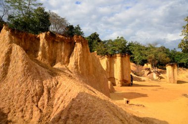 Kanyon kayalıkları yemyeşil güneş ışığıyla