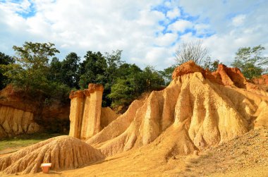 Kanyon kayalıkları yemyeşil güneş ışığıyla