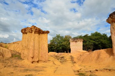 Kanyon kayalıkları yemyeşil güneş ışığıyla