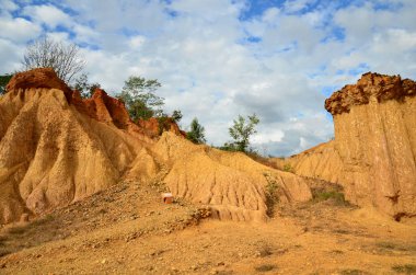 Kanyon kayalıkları yemyeşil güneş ışığıyla