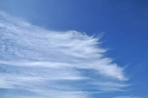 Világos Gyönyörű Felhők Megtekintése Zöld Fák Gyönyörű Felhők Világos — Stock Fotó