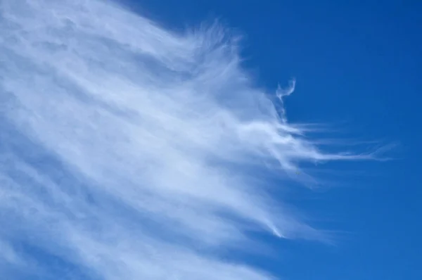 Яскраве Небо Красивими Хмарами Вид Зелені Дерева Яскраве Небо Красивими — стокове фото