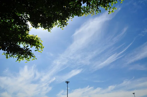 Heller Himmel Mit Schönen Wolken Blick Auf Grüne Bäume Und — Stockfoto