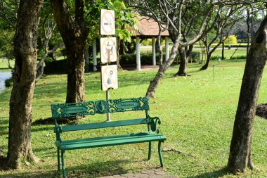 Bereketli yeşillikli güneşli parkın manzarası