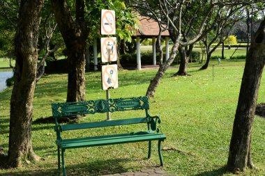 Bereketli yeşillikli güneşli parkın manzarası