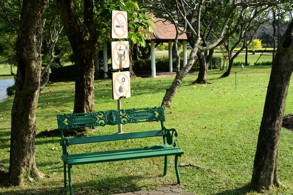 Bereketli yeşillikli güneşli parkın manzarası