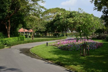 Bereketli yeşillikli güneşli parkın manzarası