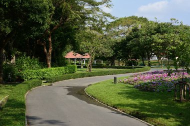 Bereketli yeşillikli güneşli parkın manzarası