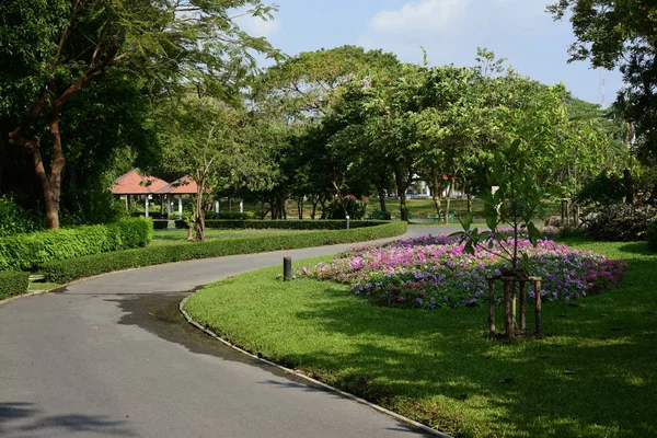 Malerischer Blick Auf Den Sonnigen Park Mit Üppigem Grün — Stockfoto